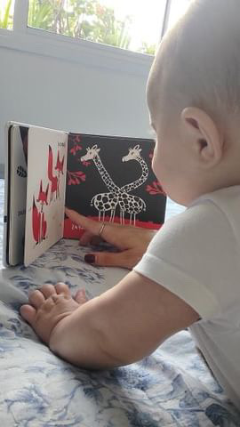 Bebê encantado com as girafas do livrinho